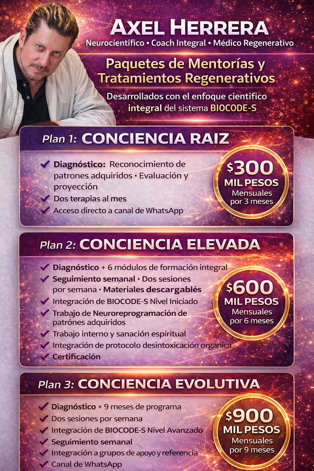 Paquetes de Mentorías - Dr. Axel Herrera